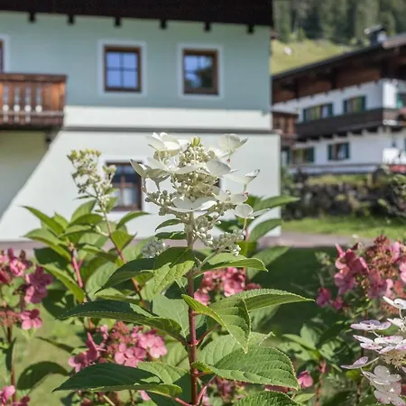 Daire Spielberg Sankt Martin bei Lofer