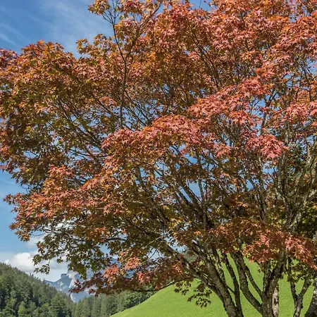 Appartamento Spielberg Sankt Martin bei Lofer